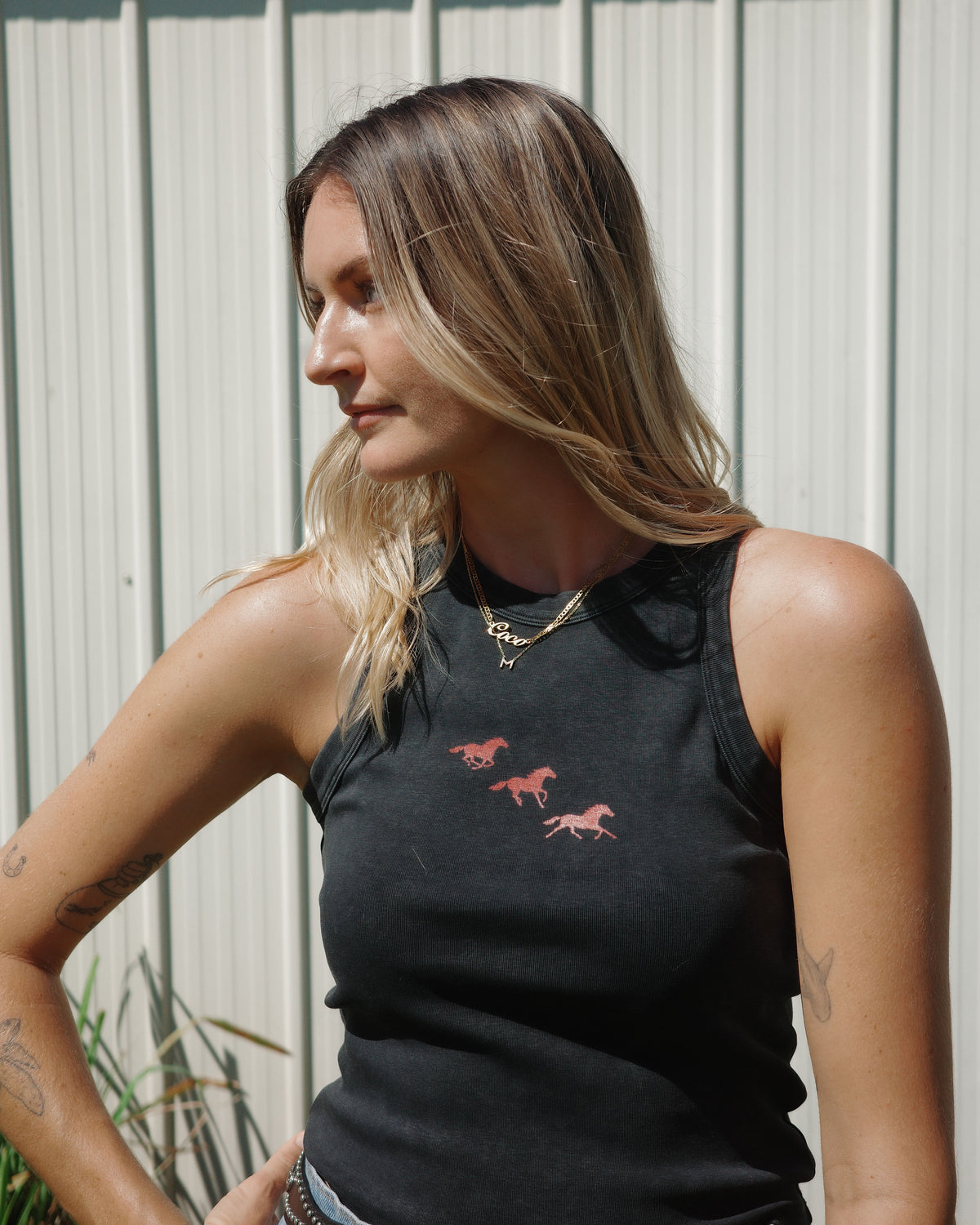 Running Horses Tank